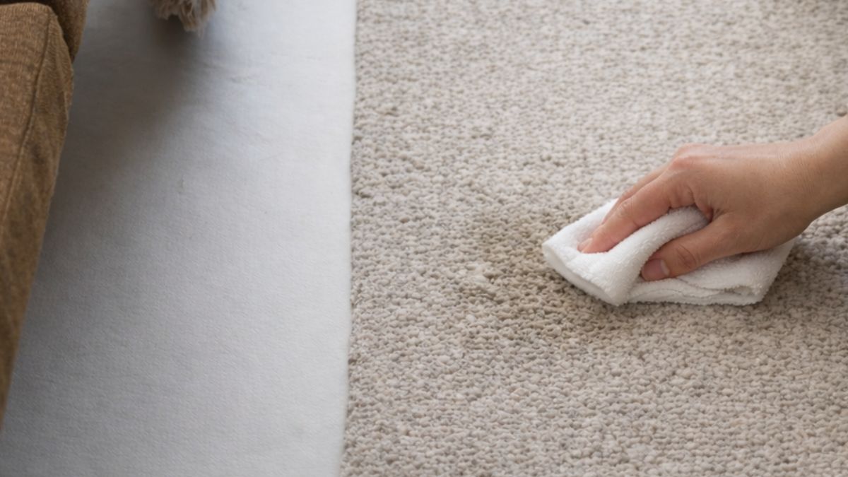 お手入れイメージ