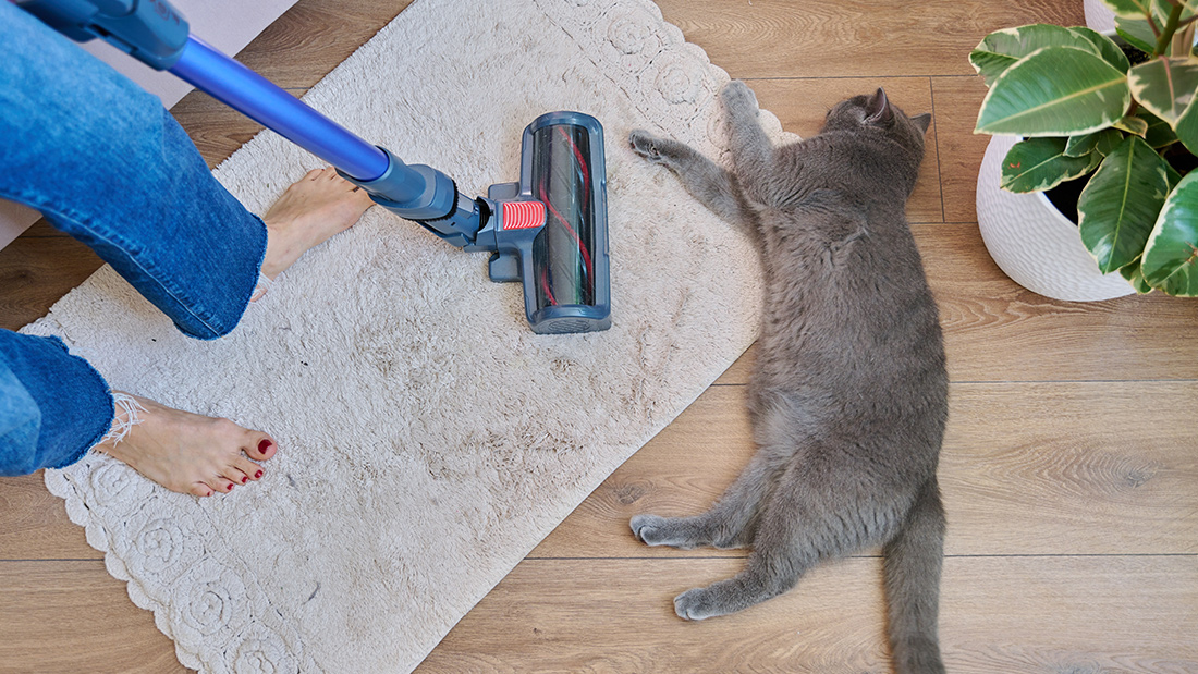 いつもの掃除は、ラグを敷けばちょっぴり楽になる