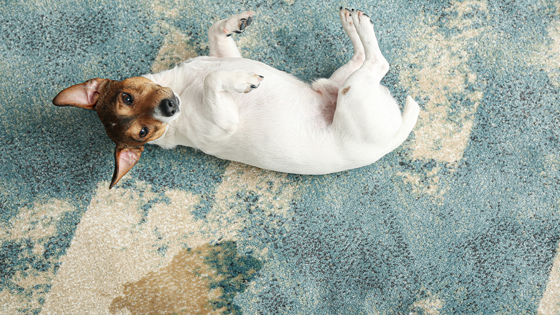 大切なラグ、もしも汚してしまったら…