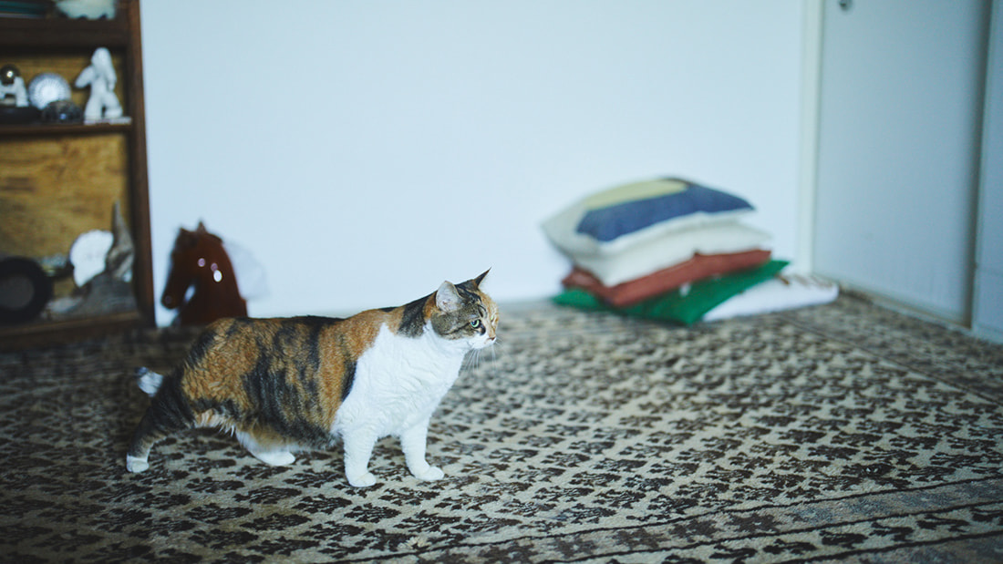 込められた思いや祈りを、ラグを通して受け継ぐ