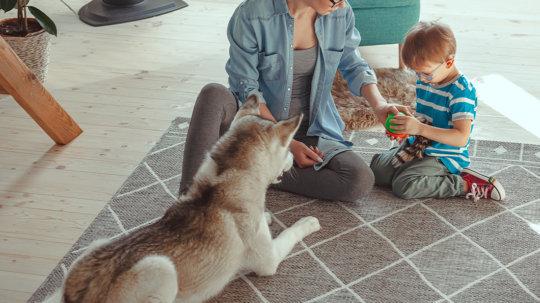 ラグが安心でサステナブルな暮らしをかなえてくれる