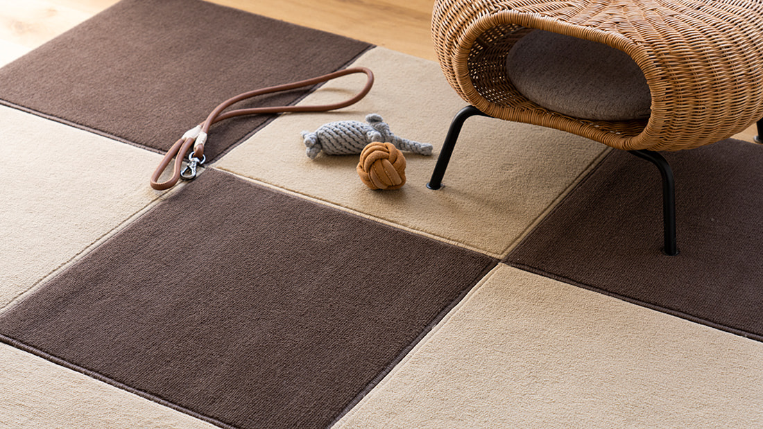 ニオイ対策にもなって、簡単に洗える便利なラグ